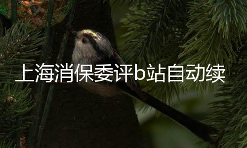消保续费委评违b站自动自愿原则公平反了上海